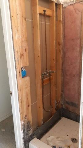 Removed Drywall Behind Shower