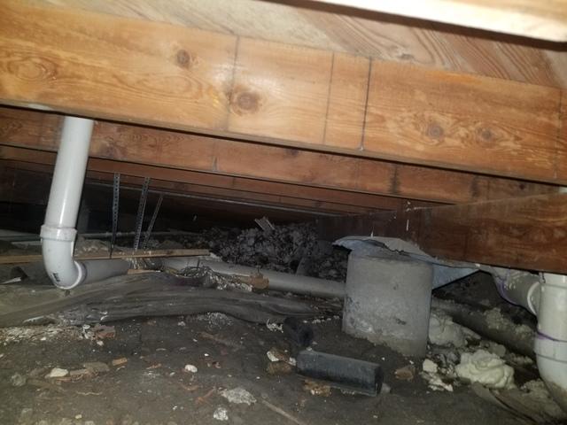 Before Crawl Space Encapsulation