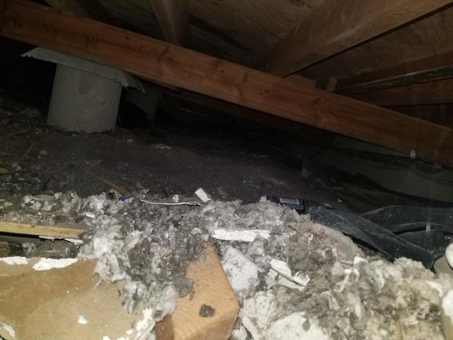 Before Crawl Space Encapsulation