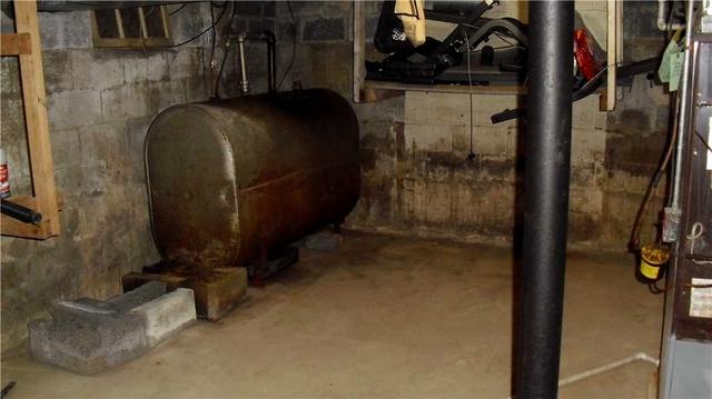 <p>This basement is wet and smelly. A perfect breeding ground for mold and bacteria.</p>