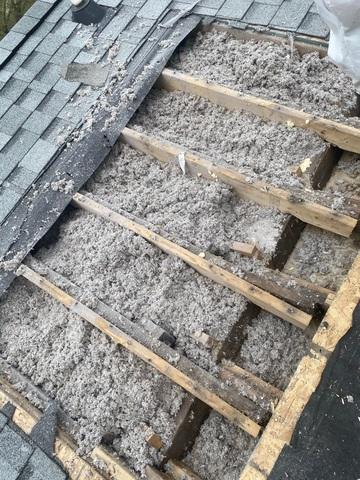 Existing Insulation on Lower Roof