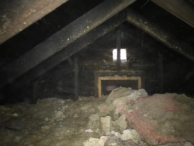 Existing Insulation to be Removed