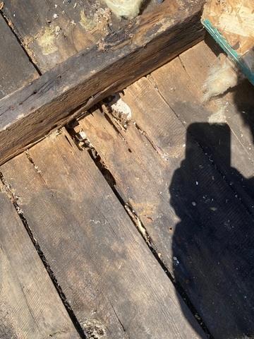 Cracks and Gaps in Wooden Building Materials