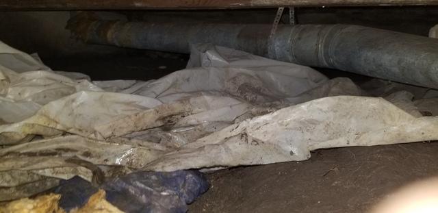 Before Crawl Space Remediation