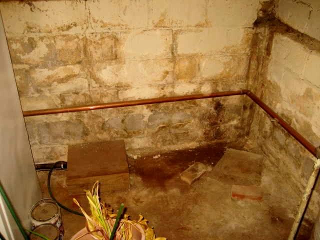 Flooded Basement