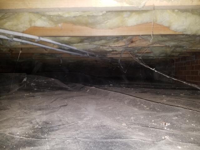 Sagged Floor Above Crawl Space