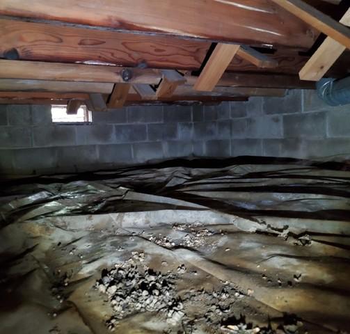 Northeast Corner Pooling Water