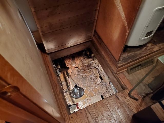 Crawl Space Access in Cabin