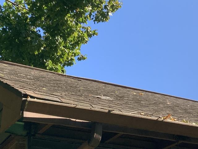 A Close-up of the Roof