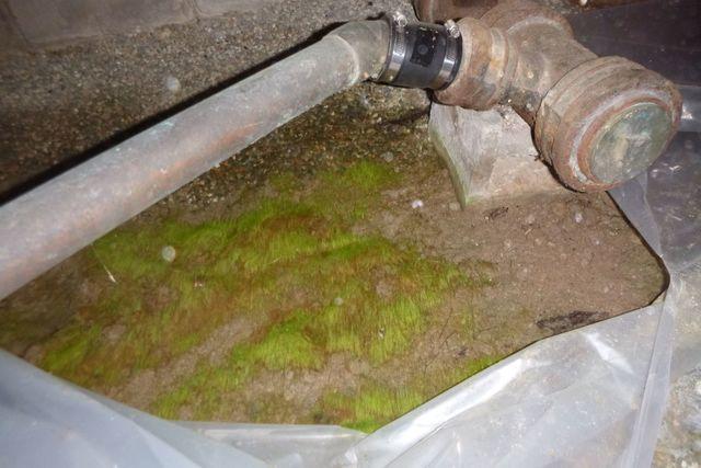 A Moisture Trap