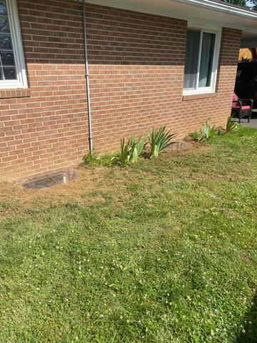 Clean Window Well Covers