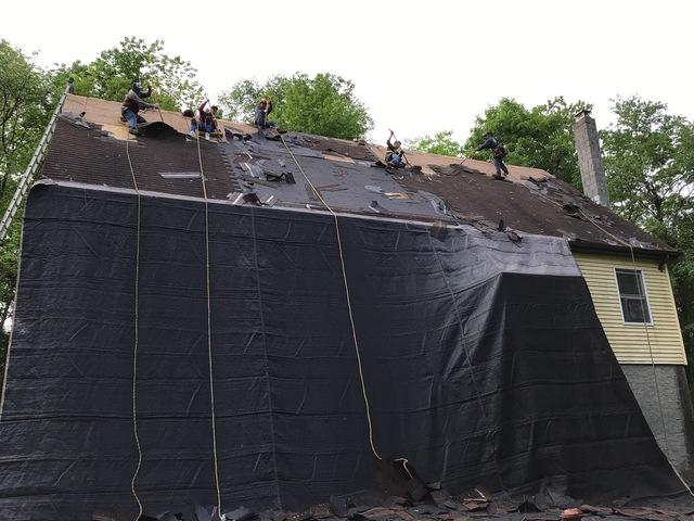 Sloughing Off Shingles