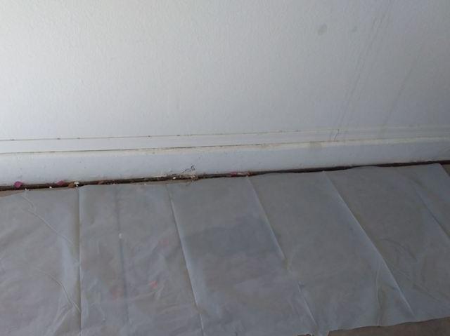 NeveRust™ System: Surroundings Protection