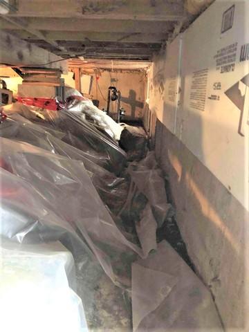 Vide sanitaire humide