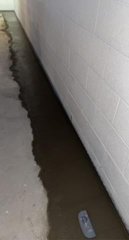 Once Dried, WaterGuard is Nearly Invisible