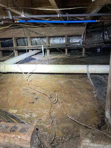 Wet Crawlspace