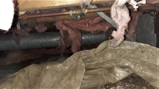 Wet, Nasty Crawl Space Before Encapsulation