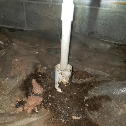 Nasty Crawl Space