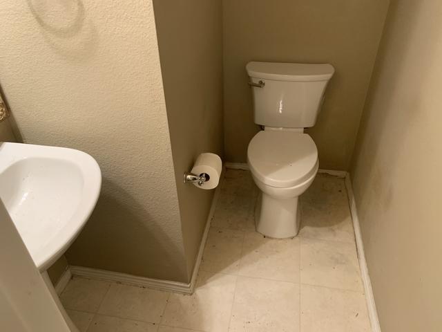 Before Mold Remediation