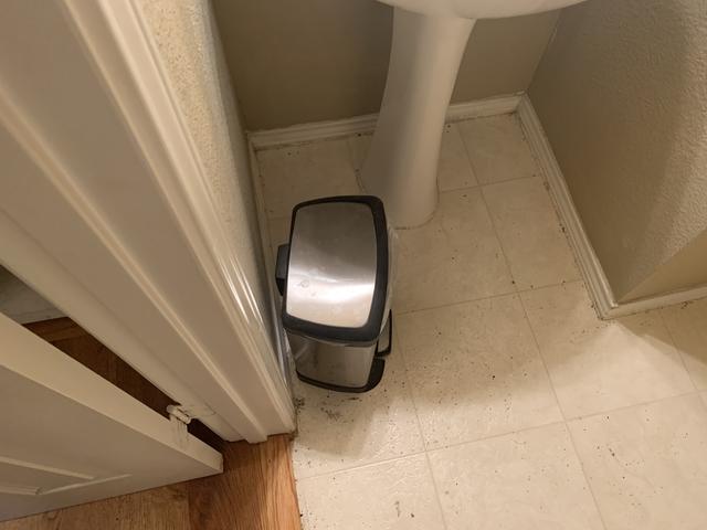 Before Mold Remediation