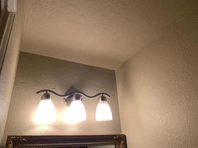 Before Mold Remediation