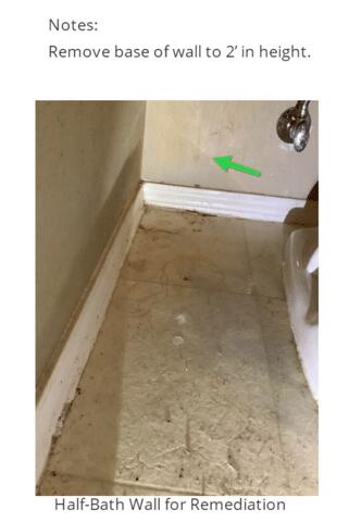 Before Mold Remediation