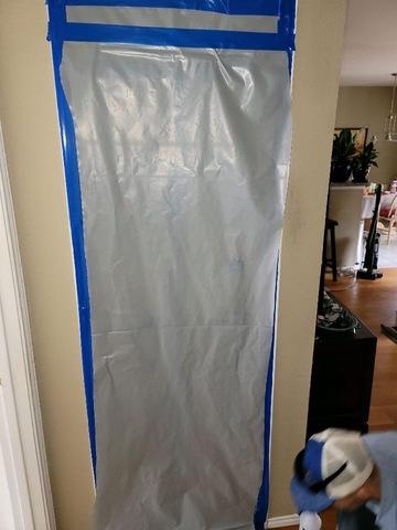 During Mold Remediation