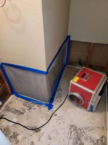 During Mold Remediation