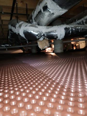 During Crawl Space Remediation