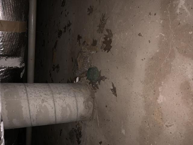 Before Crawl Space Remediation