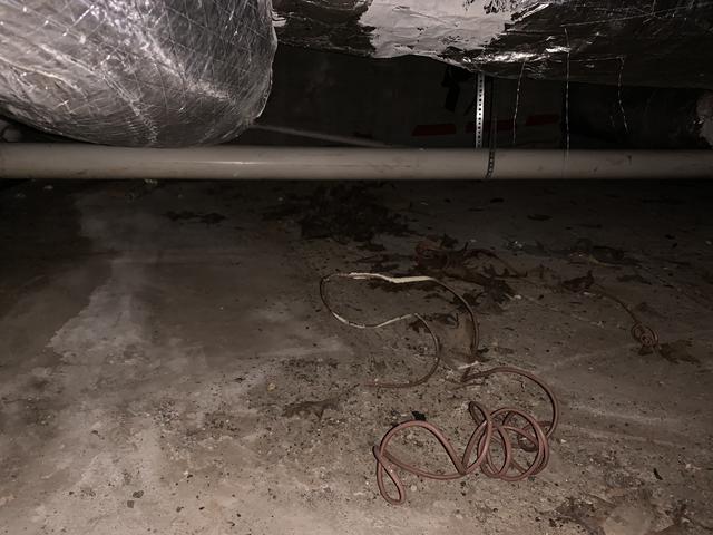 Before Crawl Space Remediation