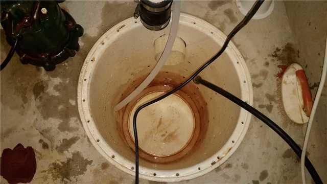 Sump Pump Cleaned