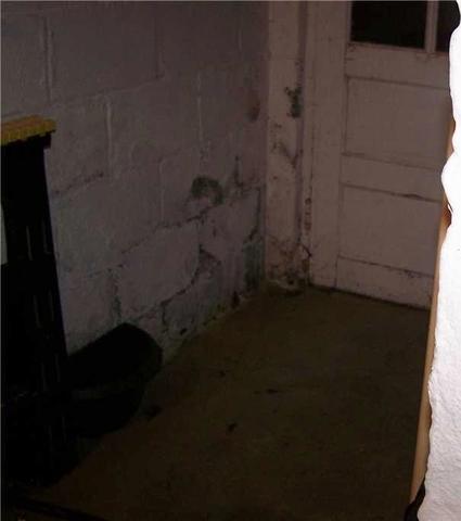 Mold in Basement