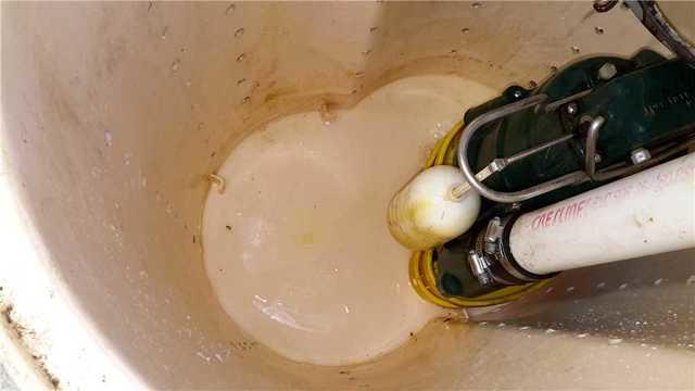 Sump Pump Cleaned