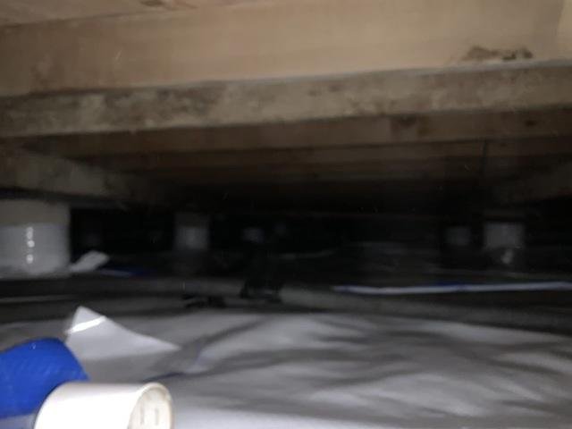 During Crawl Space Remediation