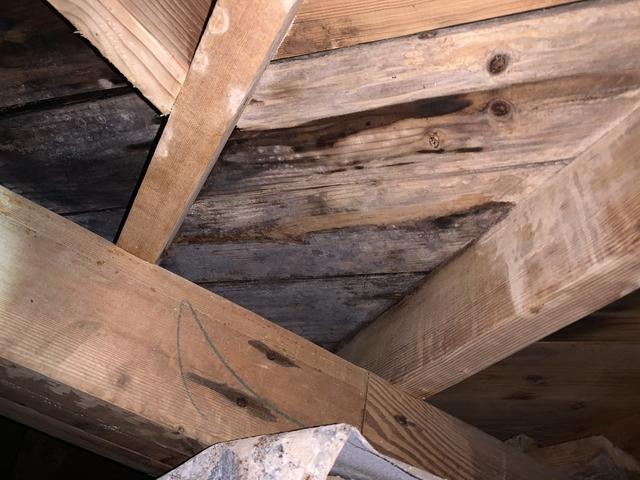 Before Crawl Space Remediation