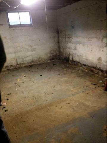 Mold in Basement