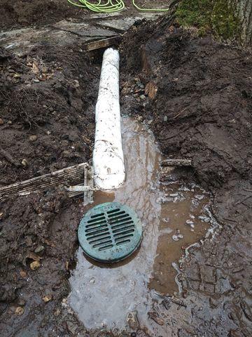 WaterGuard Port is Invisible in the Lawn