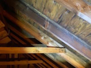 Next, we treated every square inch of the attic with our patented sealant called MAPS 2.