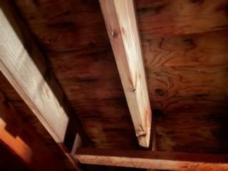 ...and scrubbed away all the excess mold staining throughout the attic.