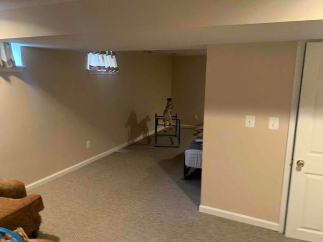 Before Waterproofing