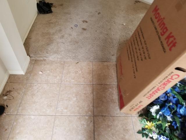 Before Water Damage Cleanup