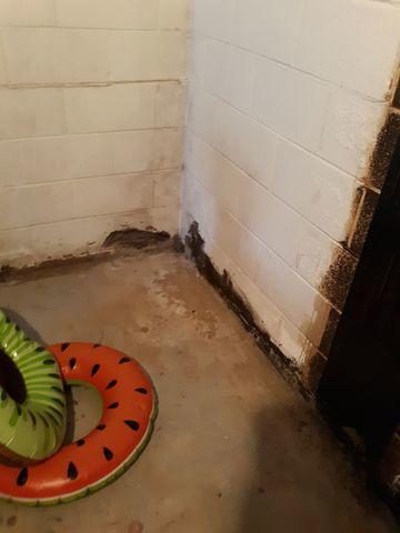 Water Damage and Cracking in Basement