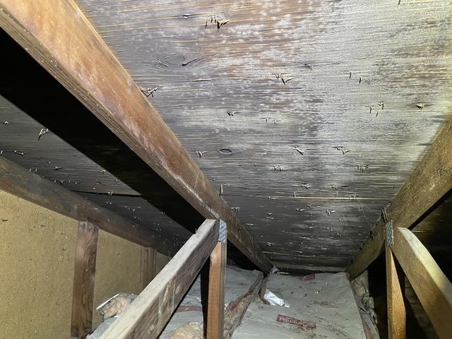 Mold on sheathing and truss of attic