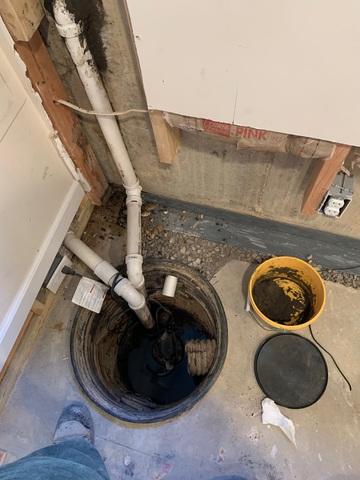 WaterGuard Works with Sump Pumps