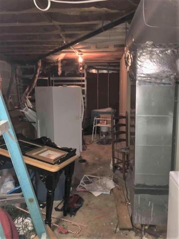 Wet and Affected Basement