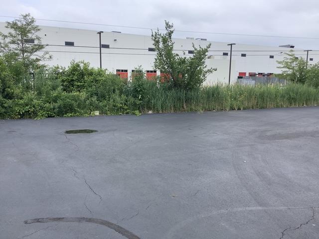 The final look after all pallets were removed