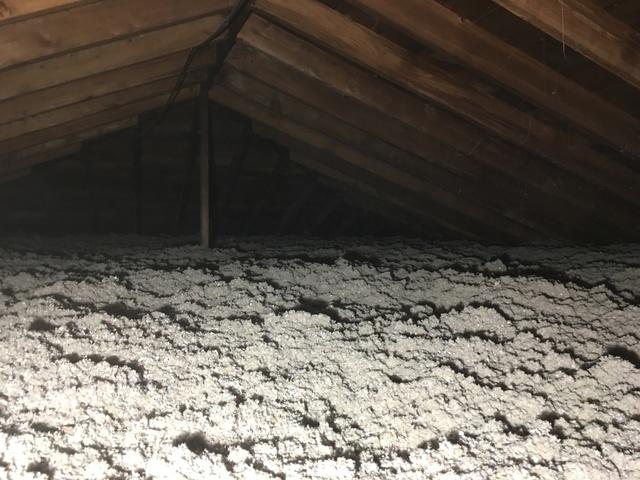 Susan's Attic After