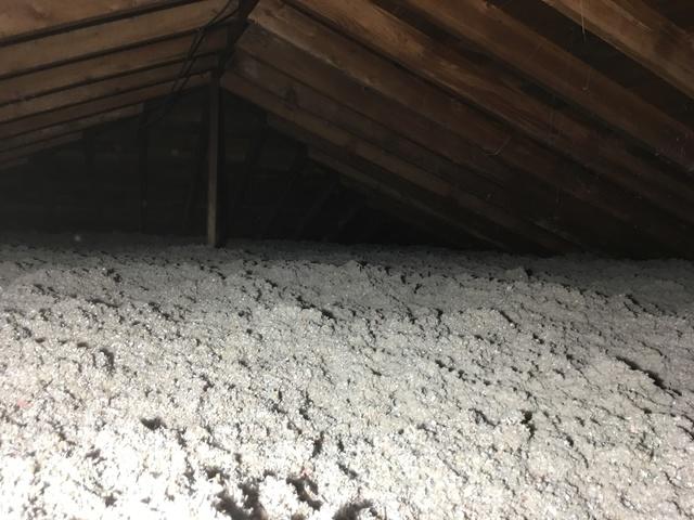 Susan's Attic After