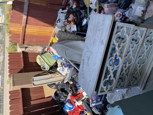 Backyard Before